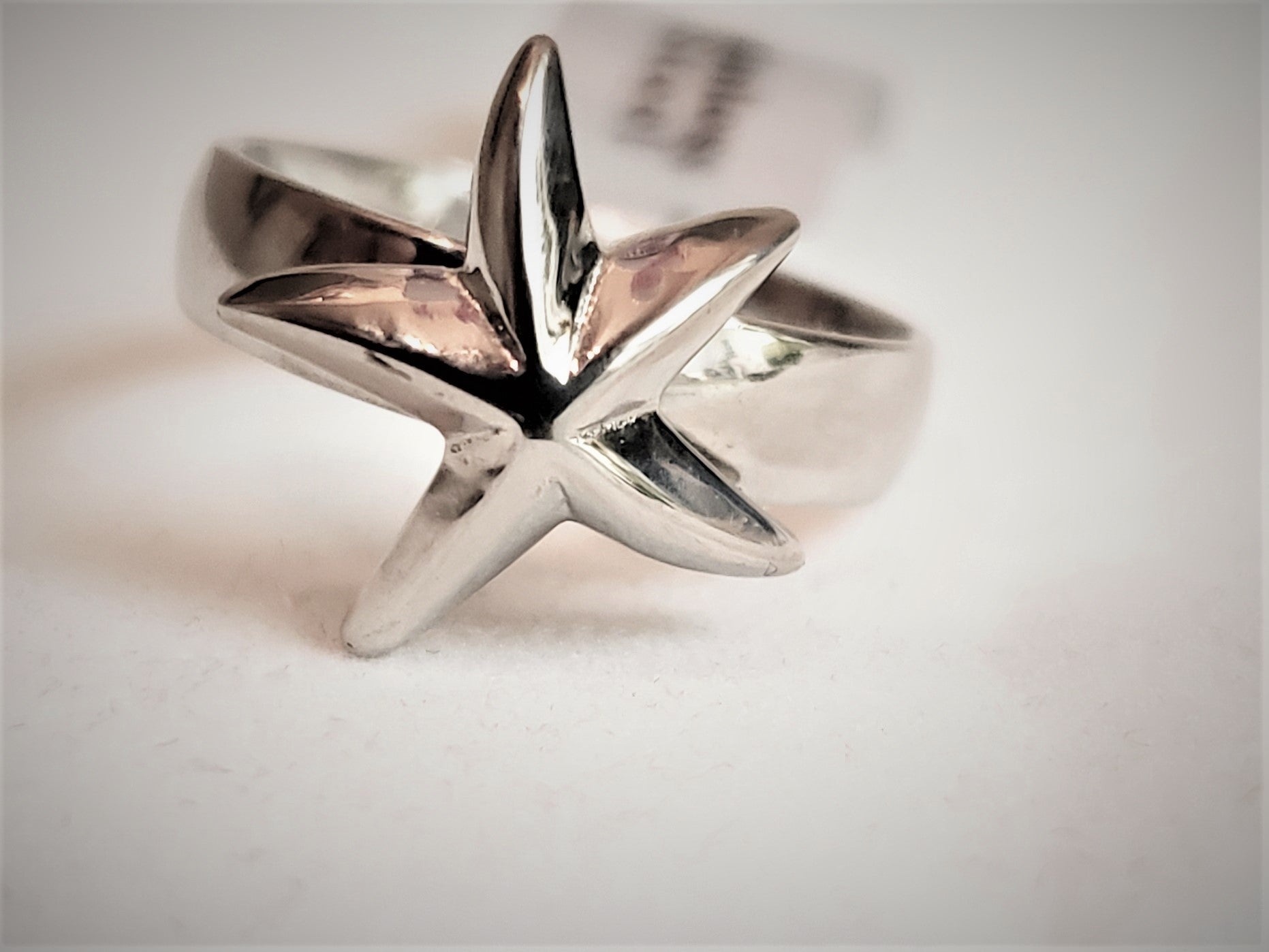 Stainless steel ring with starfish - RNG002